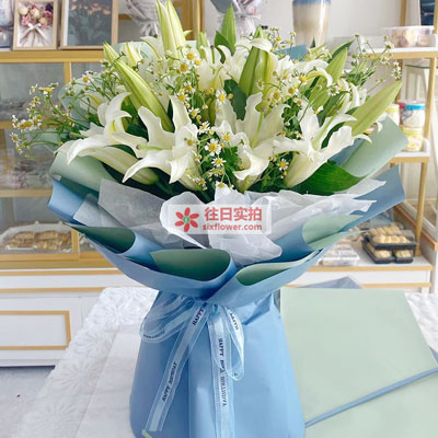马鞍山8支白色多头百合洋甘菊，互倾的思念