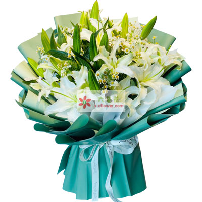 马鞍山8支白色多头百合洋甘菊，如潮的思念